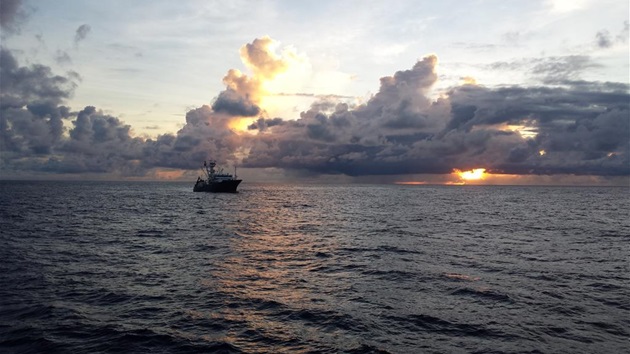 Ocean Heroes: Den bæredygtige fiskeindustri håndterer Covid-19 pandemien