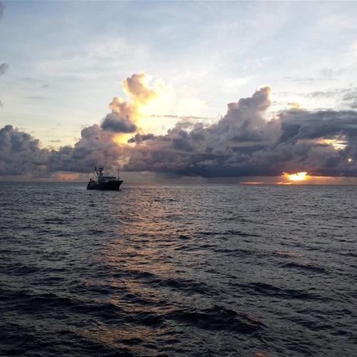 La pesca sostenible es posible