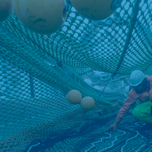 Deckhand-Alters-Fishing-Net-spotlight