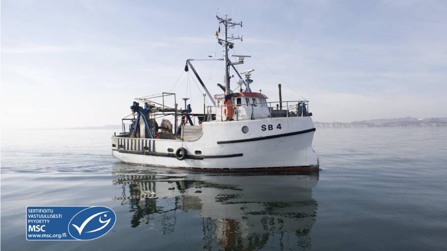 Vastuullinen valinta edesauttaa merien hyvinvointia