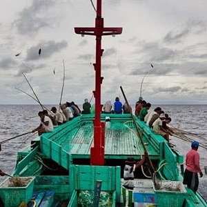 Første Indonesiske tunfiskeri er MSC certificeret