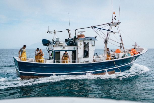 Hvad er bæredygtigt fiskeri?