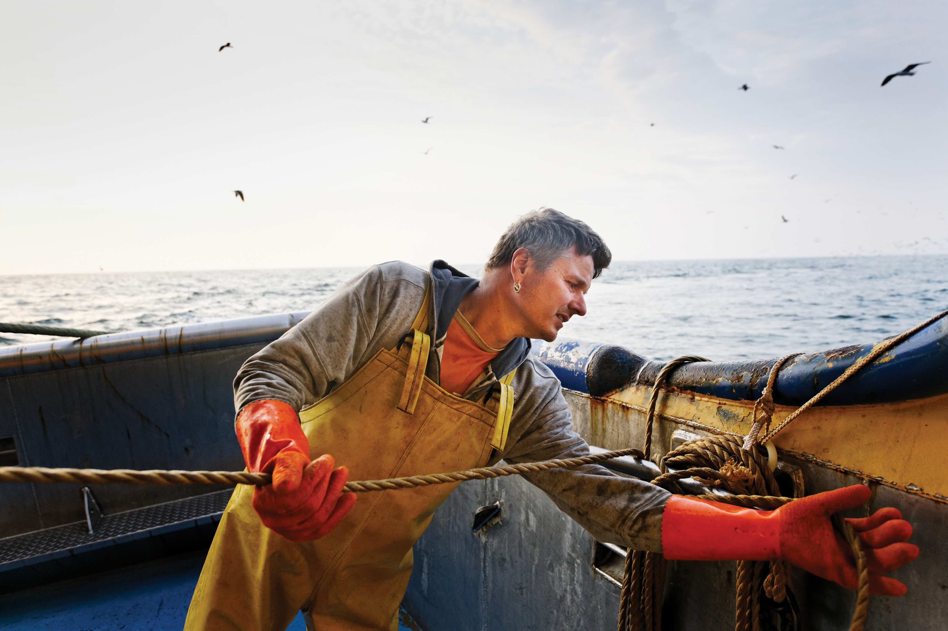 Is wild seafood better than farmed?