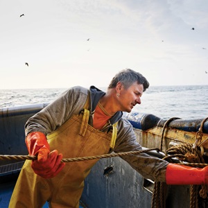 Is wild seafood better than farmed?