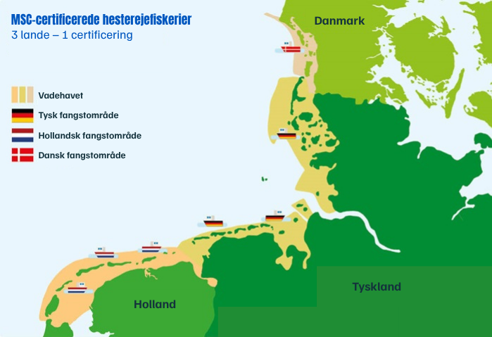 MSC Brown shrimp (crangon crangon) fishery map showing the catch areas around Denmark, The Netherlands and Germany