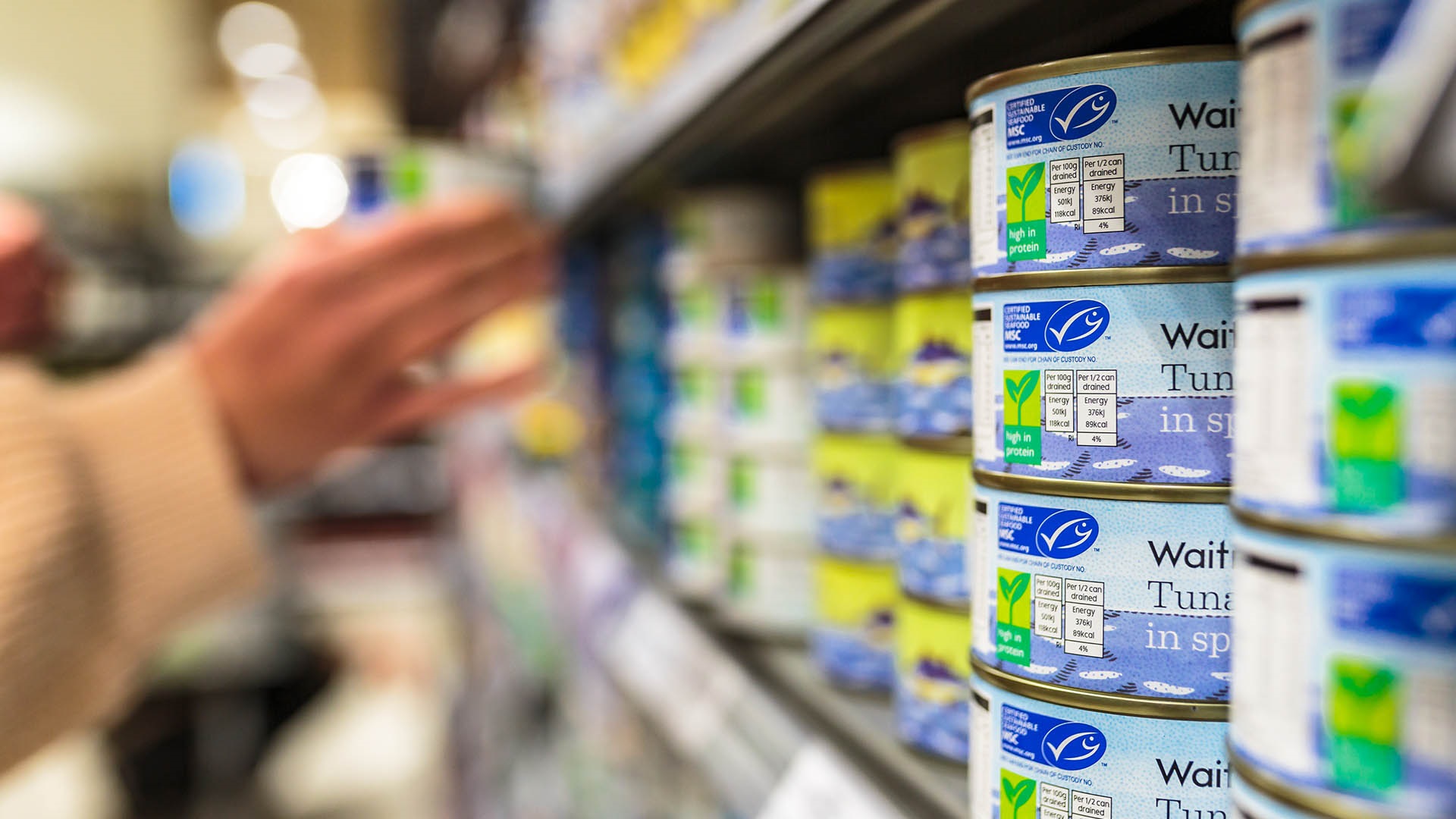MSC certified tuna cans with ecolabel