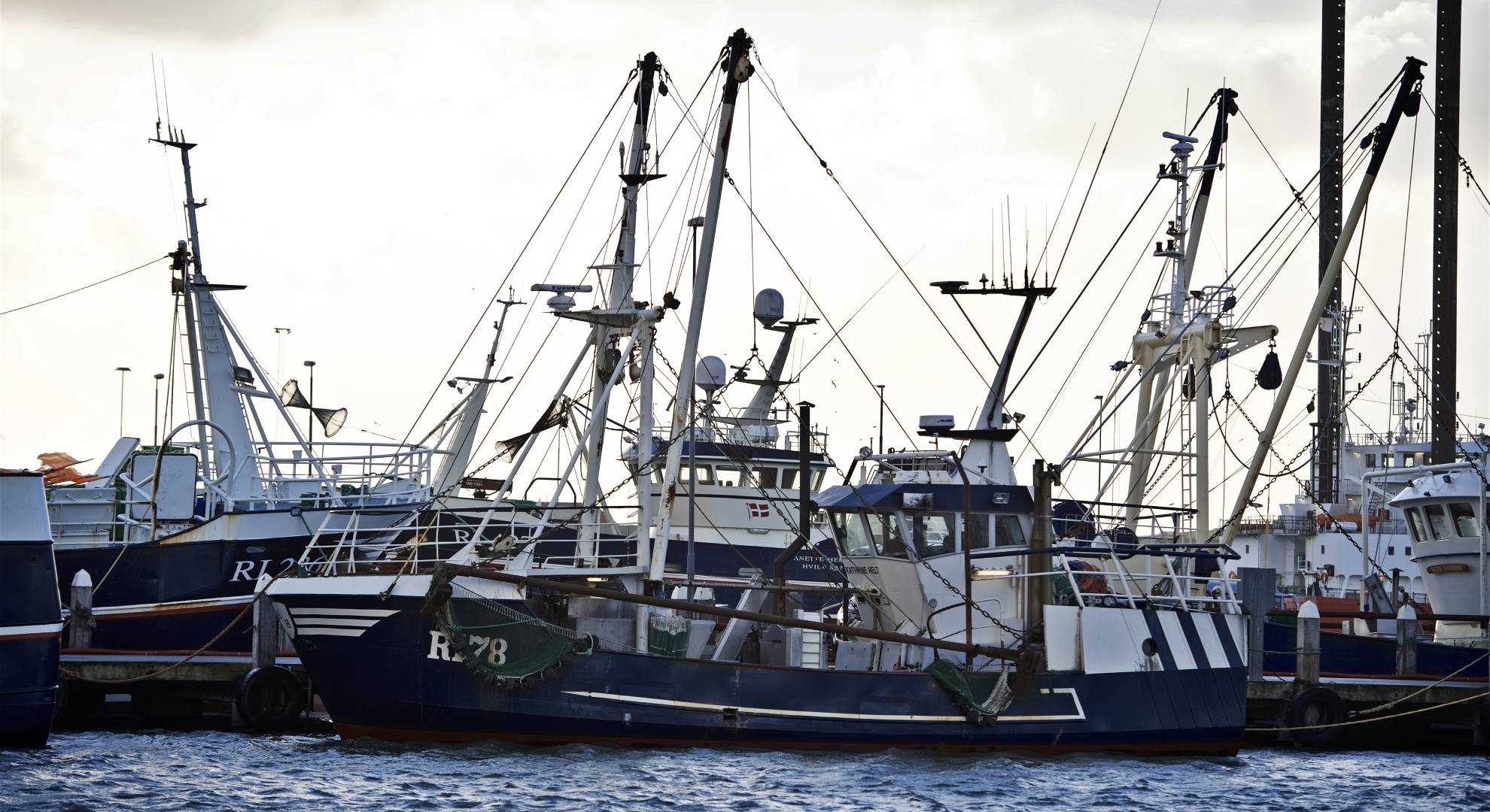 Ændringer i certificeringsstatus for flere enheder under Joint Demersal Fisheries’ MSC-certificering