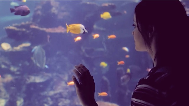 Dyk ned i vores skolemateriale om havet!