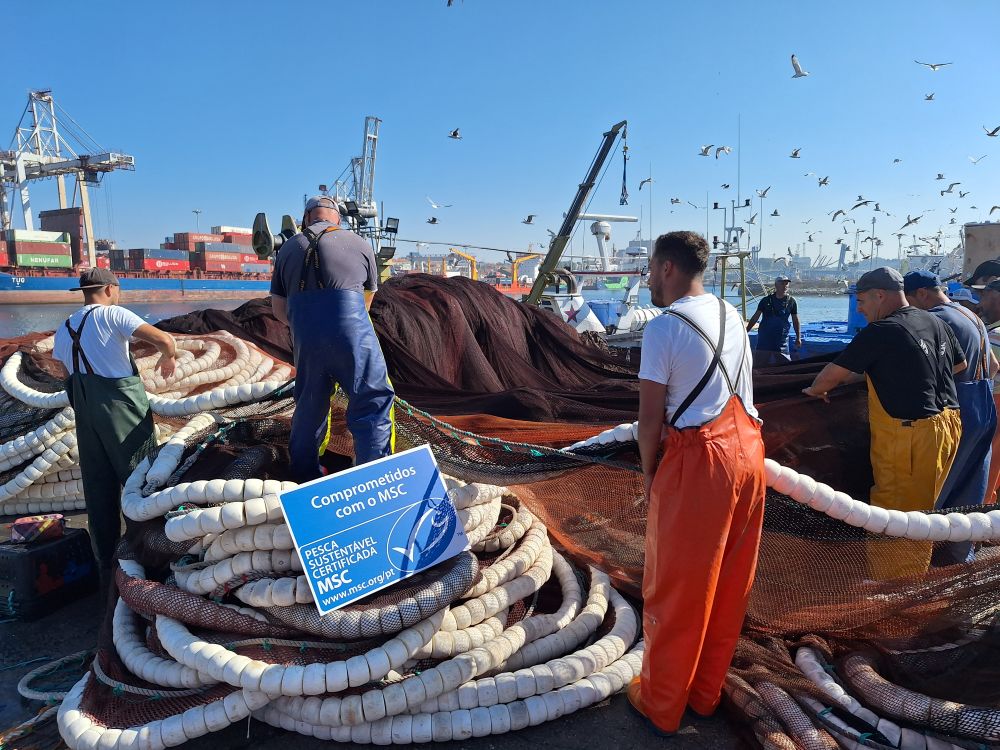 Iberian sardine fishery certification Iberian sardine fishery certification