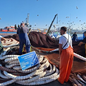 En sejr for havet - sardinfiskeriet er igen MSC-certificeret takket være et grænseoverskridende samarbejde