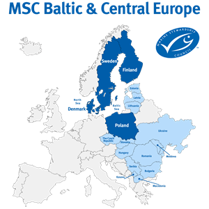 MSC teams fra Polen, Sverige, Danmark og Finland slår kræfterne sammen som region for Østersøen og Centraleuropa