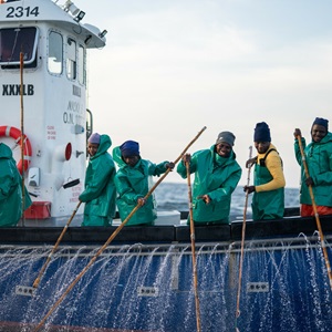 Tillgången på hållbar tonfisk ökar, fler certifierade fisken från Japan till Senegal
