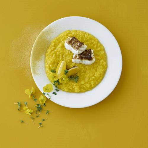 Stegt torsk med safranrisotto og gule courgetter