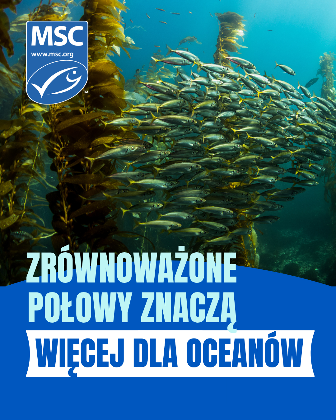 Światowy Dzień Oceanów 2026