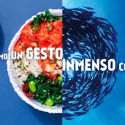 Especial Día Mundial de los Océanos