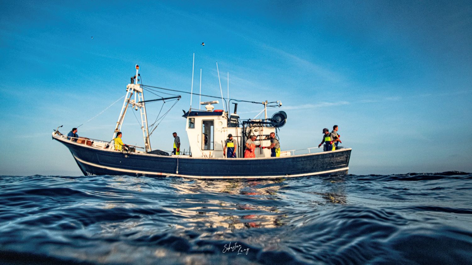 Pesqueria JD Mackintosh