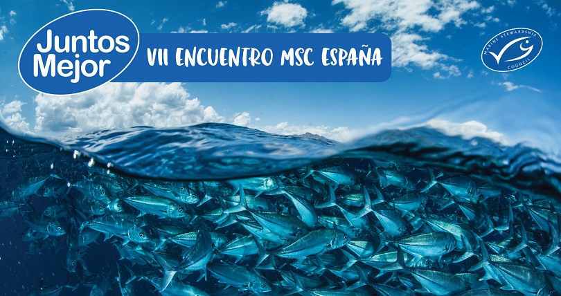 VII Encuentro “Juntos Mejor” de MSC (2021): La pesca sostenible es una realidad y cómo los implicados en la cadena de suministro participan para mejorar la actividad pesquera.