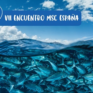 VII Encuentro “Juntos Mejor” de MSC (2021): La pesca sostenible es una realidad y cómo los implicados en la cadena de suministro participan para mejorar la actividad pesquera.