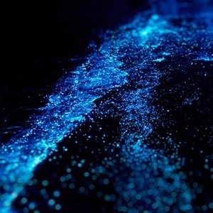 Nossos cientistas (em inglês)