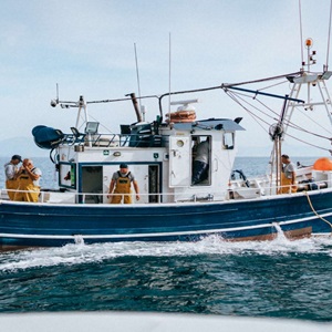 Estado de las Pesquerías. España 2025