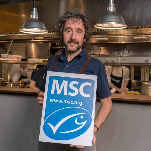 Gastronomía y pesca sostenible