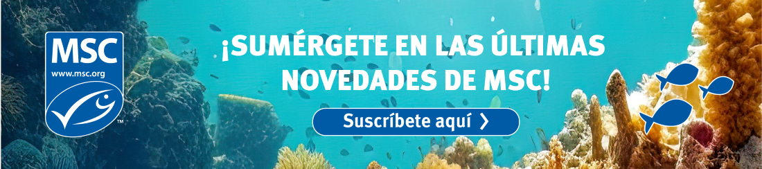 Firma ES Newsletter Subscribe