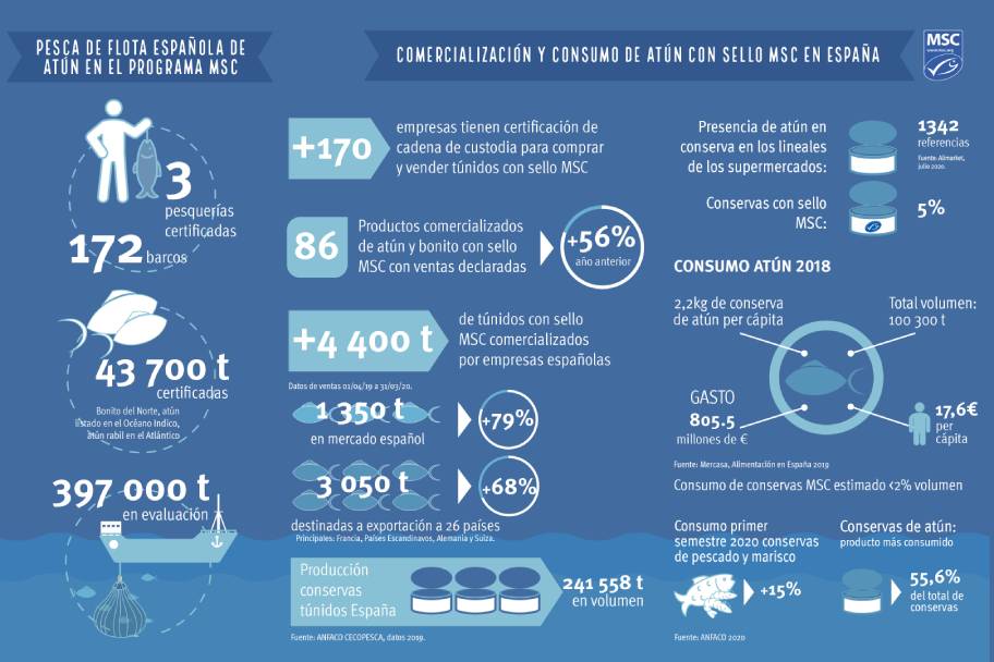 Infografia_MSC_10nov Infografia_MSC_10nov