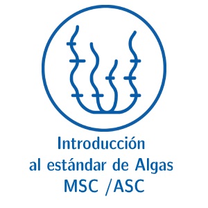 18 de noviembre de 2020