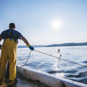 Nuevo Estándar y Prioridades de Investigación