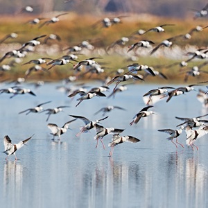 Nuestro impacto colectivo