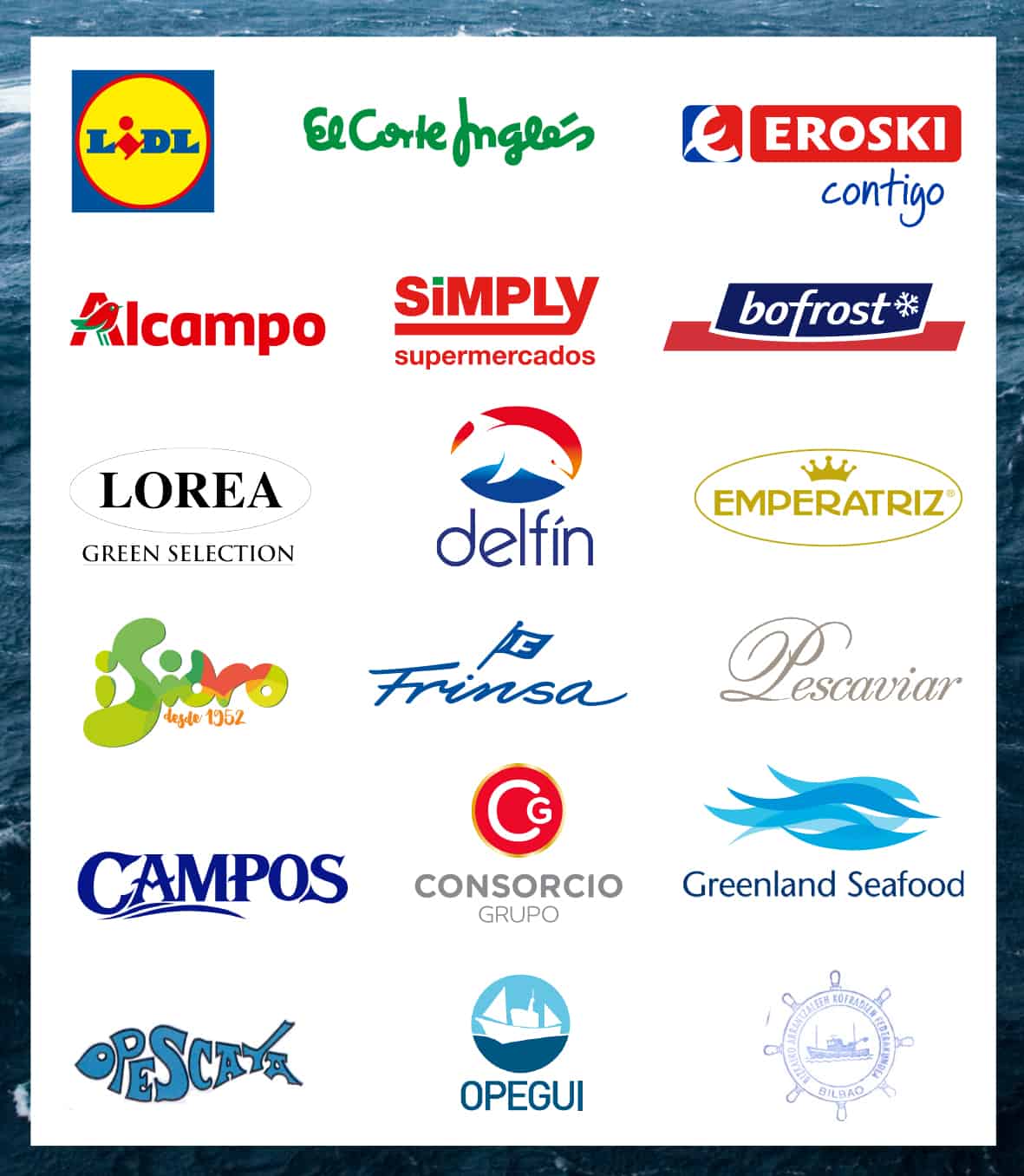Conoce a nuestros partners