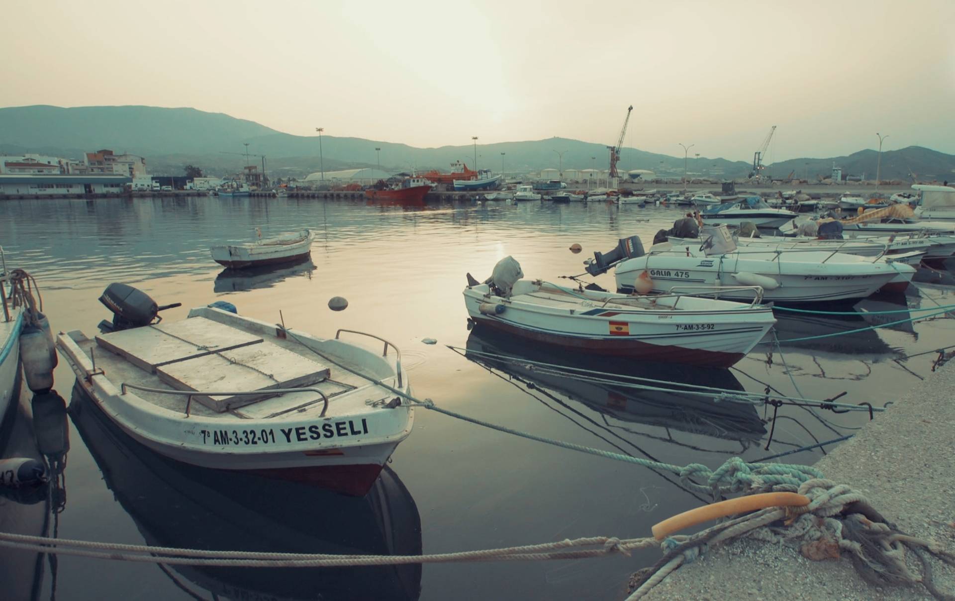 Mejoras alcanzadas por pesquerías del proyecto Medfish