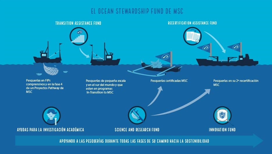 RS13775_Infographic_Pathway_Website_912x513_30.09 ES