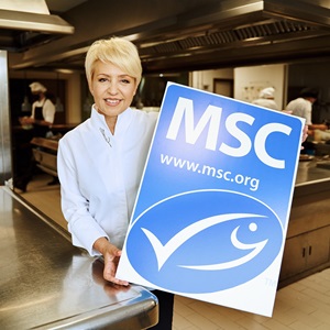 Recursos de apoio após a Certificação