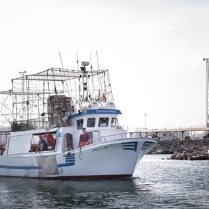 El fondo Ocean Stewardship de Marine Stewardship Council financia cuatro proyectos de mejora en pesquerías mediterráneas