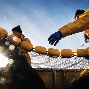 Proyectos de Mejora de Pesquerías