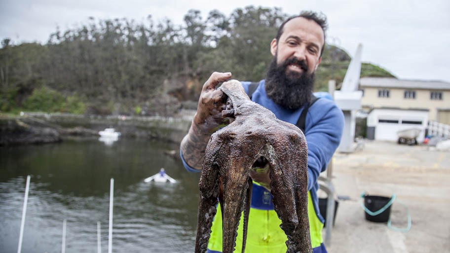 ¿Qué significa el nuevo informe de biodiversidad de la ONU para la pesca sostenible?