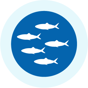Collaboration helps secure Barents Sea cod stocks