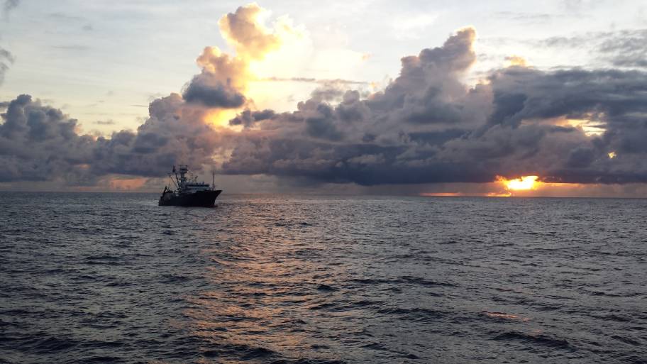 Los retos de la pesca sostenible en la industria del atún