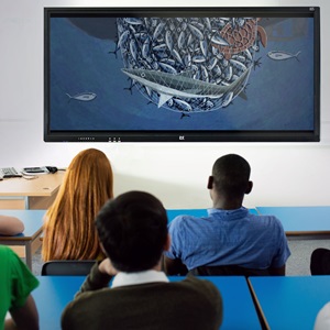 Semana Mares para Siempre