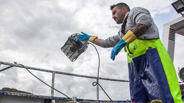 La historia de la certificación