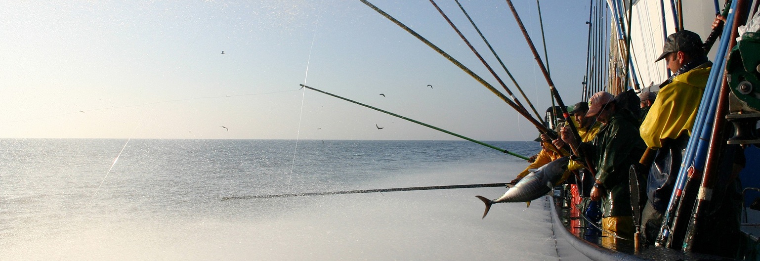 RS6276_RS6275_Bonitodelnorte3_AZTI-original (2)