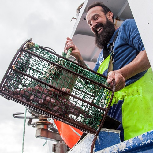 Simposio sobre la pesca sostenible del pulpo
