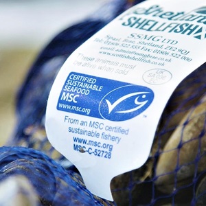 Guía para la certificación de la cadena de suministro