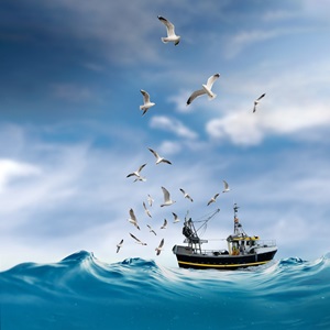 Different fishing methods