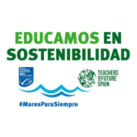 Acción con Teachers For Future
