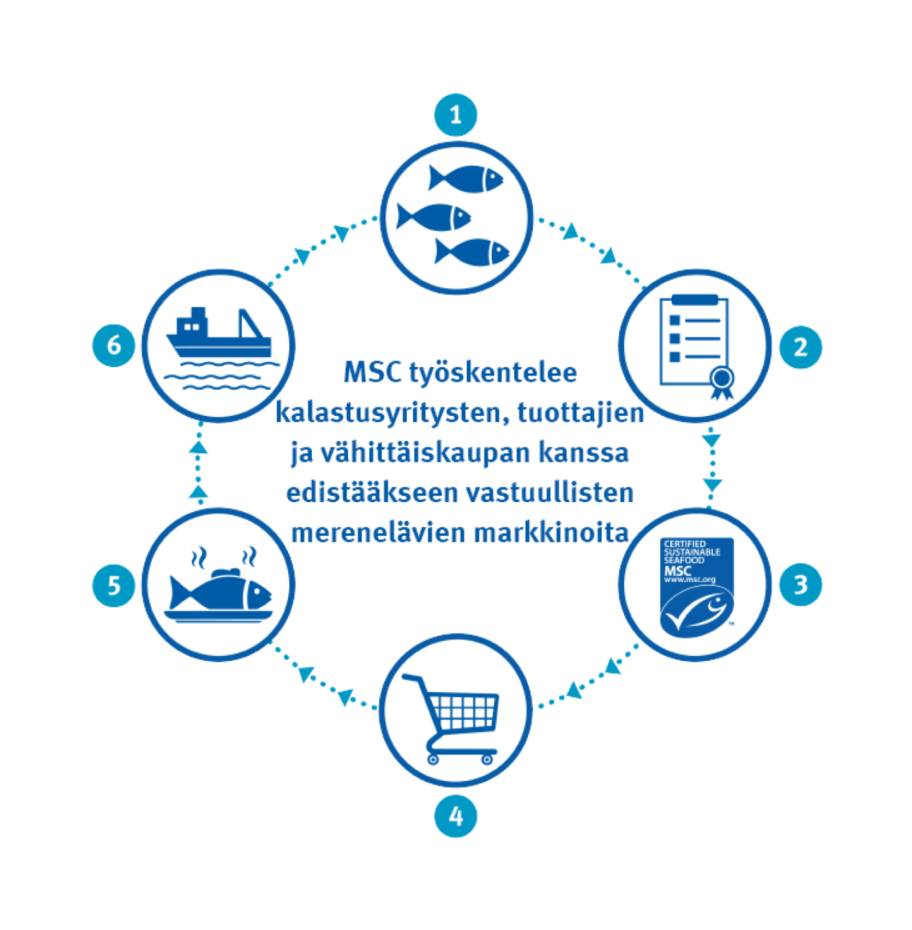 rs7052_theoryofchange_infographic_numbers_fi_BIG rs7052_theoryofchange_infographic_numbers_fi_BIG