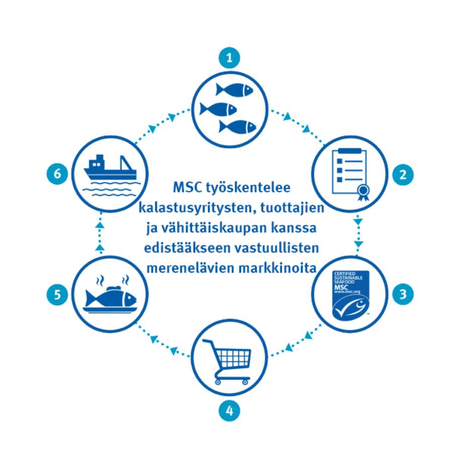 rs7052_theoryofchange_infographic_numbers_fi_BIG