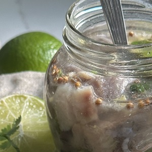 Inkivääri-limettisilli