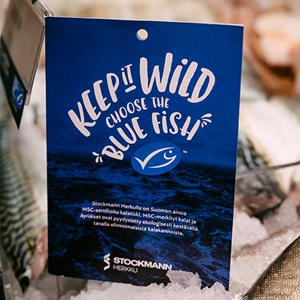 Ovatko MSC-merkillä merkityt merenelävät kestävästi kalastettuja?